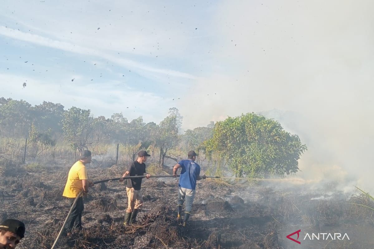 BNPB: Forest and Land Fires Continue to Affect Two Regencies in Aceh