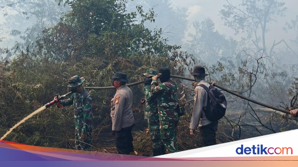 Police and Military Struggle to Extinguish Forest Fires in Bengkalis, Maintaining 24-Hour Vigil