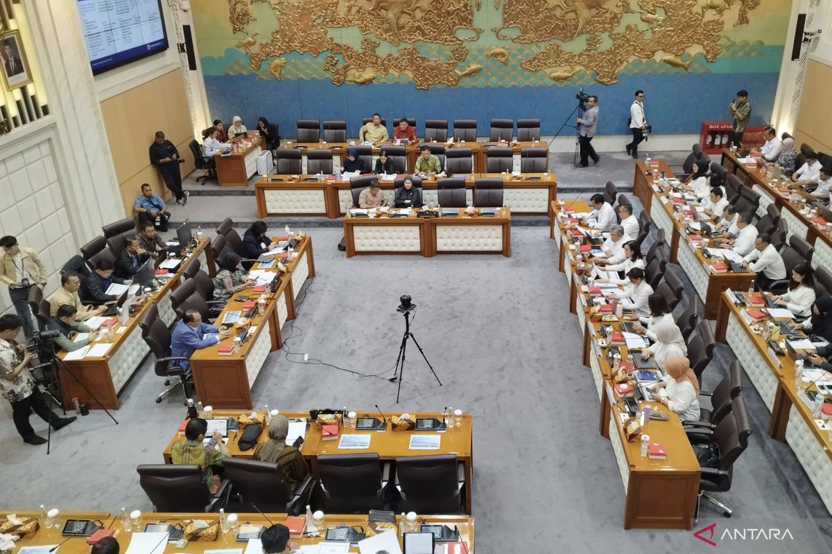 Commission VII: Weakening Rupiah Has Potential to Boost International Tourist Visits