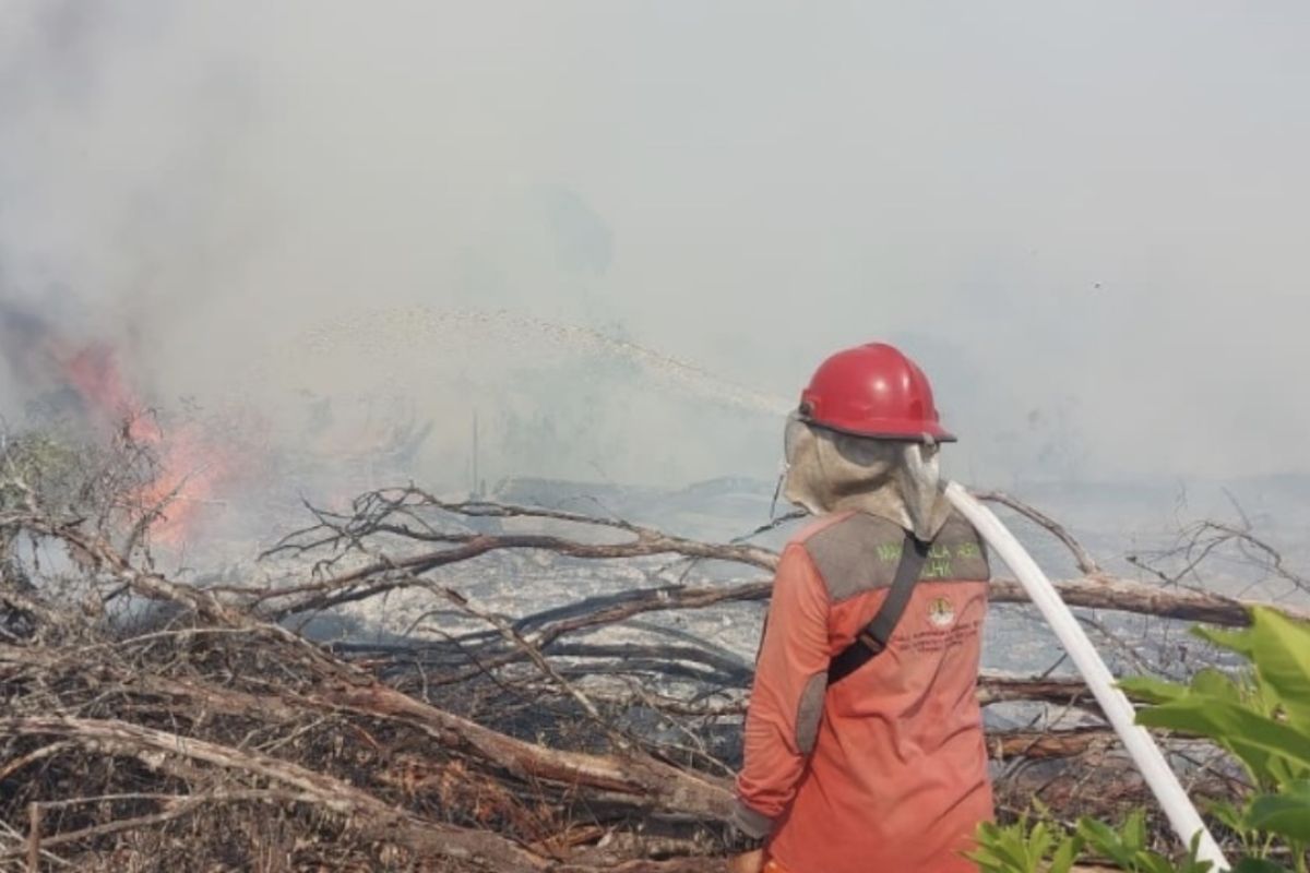 Ministry of Forestry Strengthens Forest and Land Fire Suppression Operations in Four Sumatran Provinces