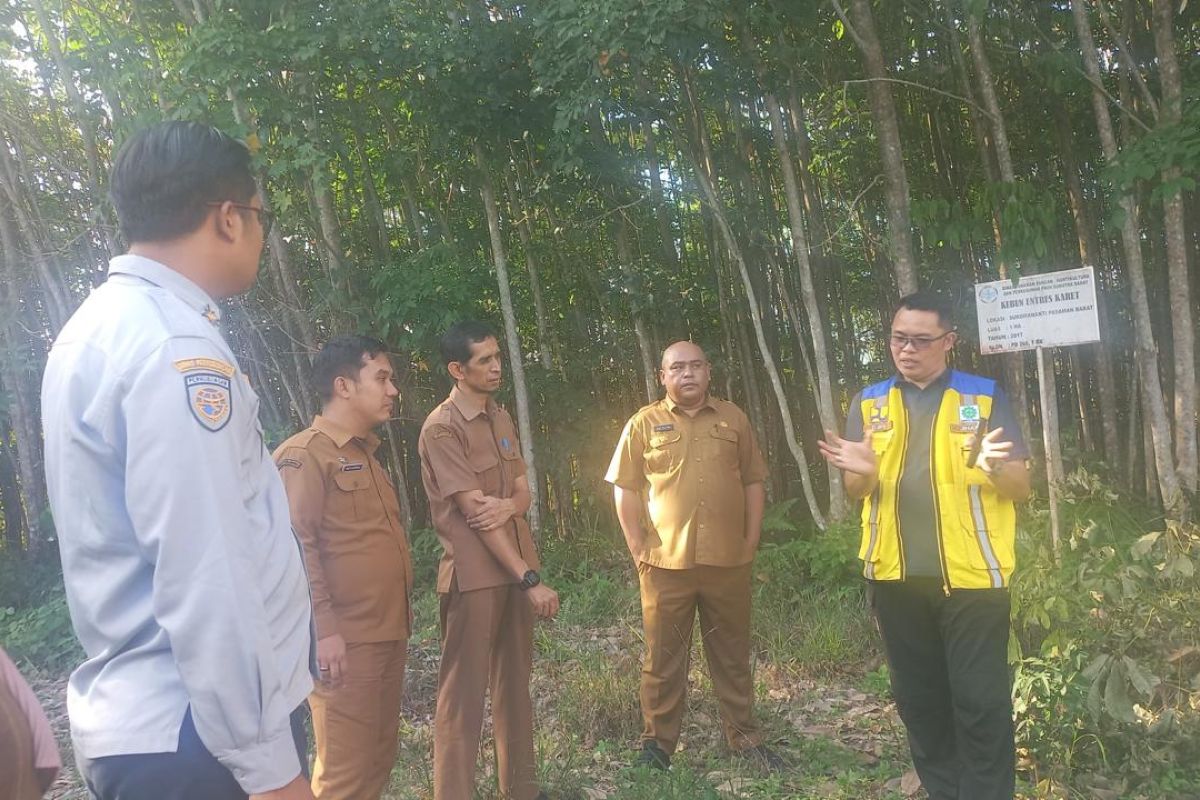 West Pasaman awaits asset disposal letter for People's School construction