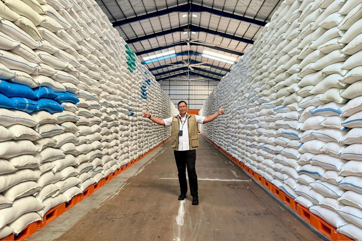 Bulog reports farmer paddy absorption has reached three million tonnes rice equivalent