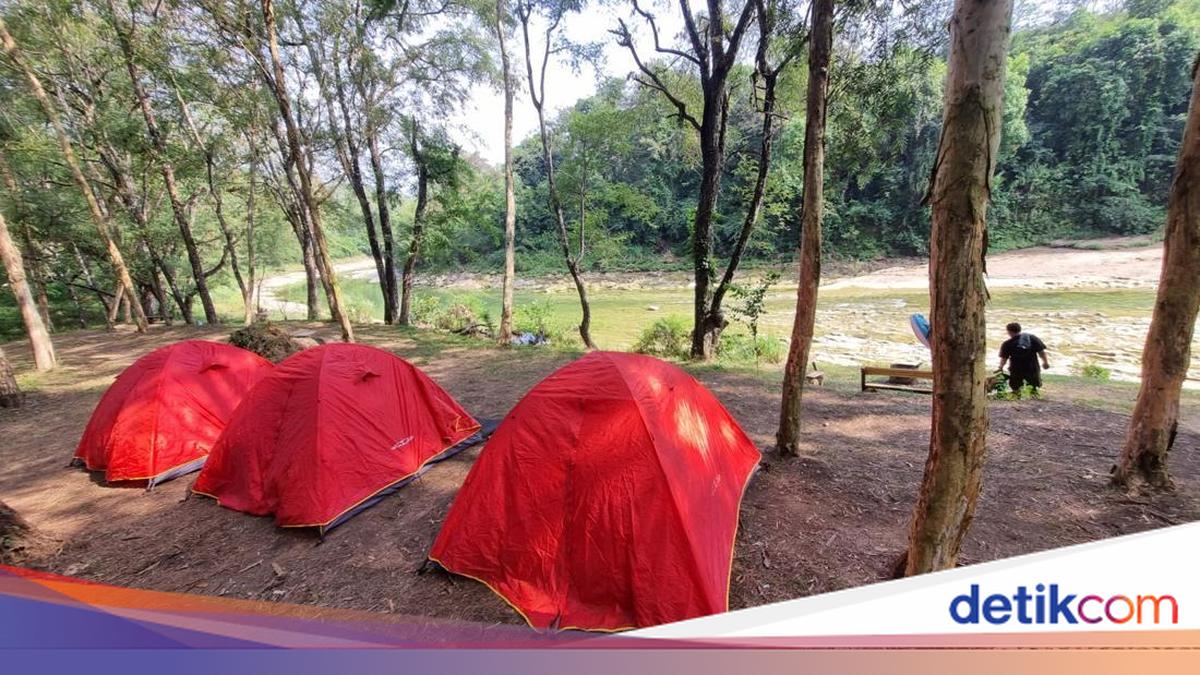 Exciting Picnic at Tahura Bunder Gunungkidul: Trekking Amidst Deer Sightings