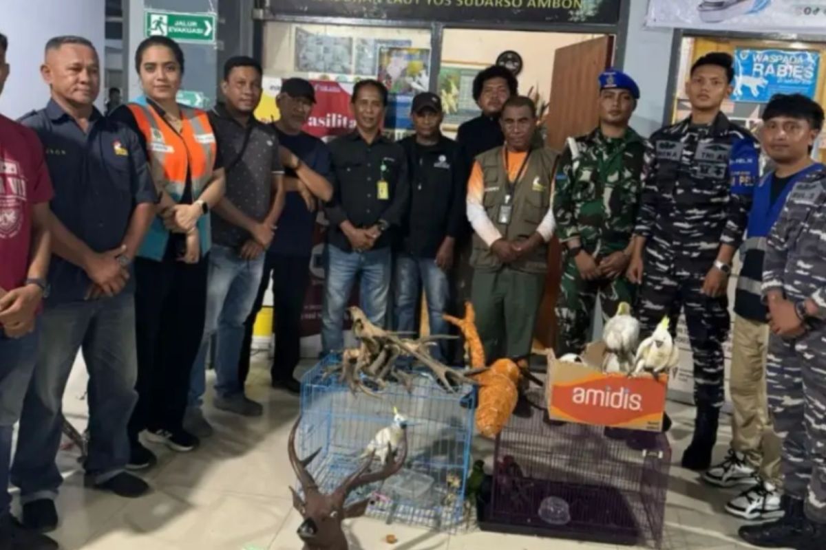 Maluku Natural Resources Conservation Agency Thwarts Alleged Protected Wildlife Trade in Ambon