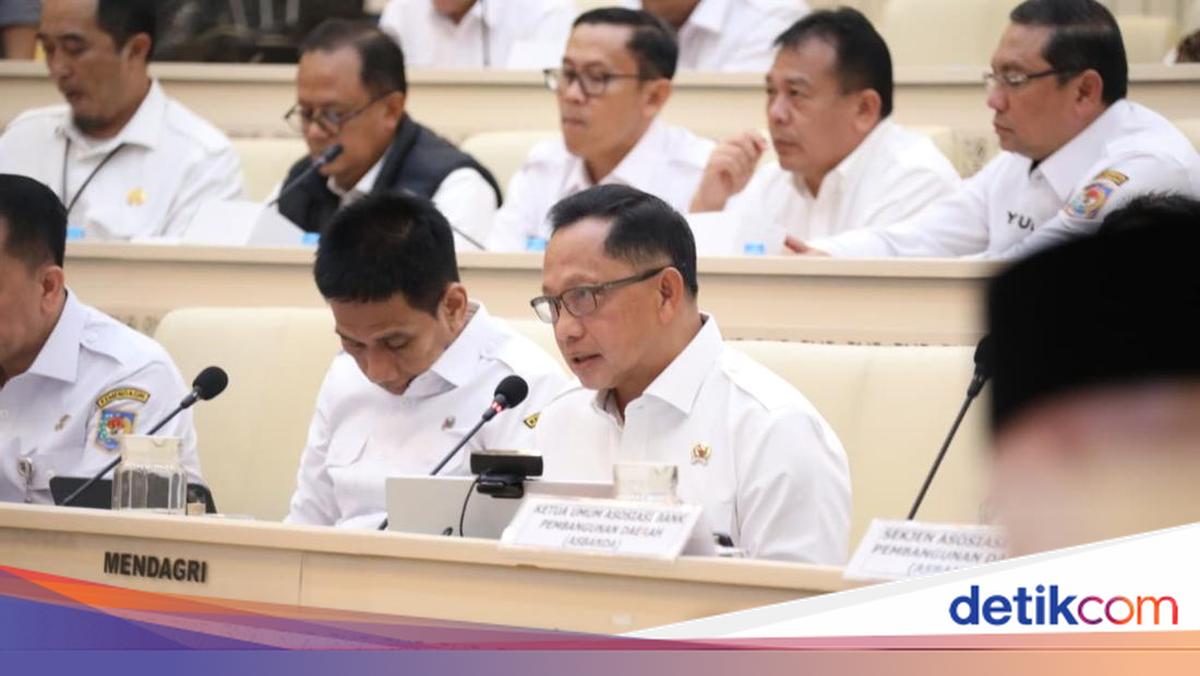 Minister of Home Affairs Outlines Strategic Steps to Strengthen Regional-Owned Enterprises Before Parliament