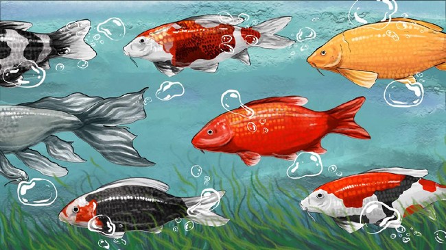 Imminent Danger: Indonesian Seas Warming, Fish Sizes Shrinking