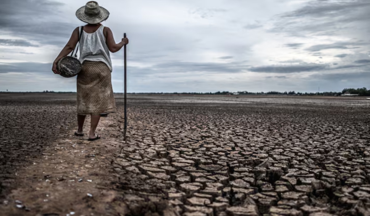 WMO: 80 Per Cent Chance of El Niño, World Braces for Extreme Weather