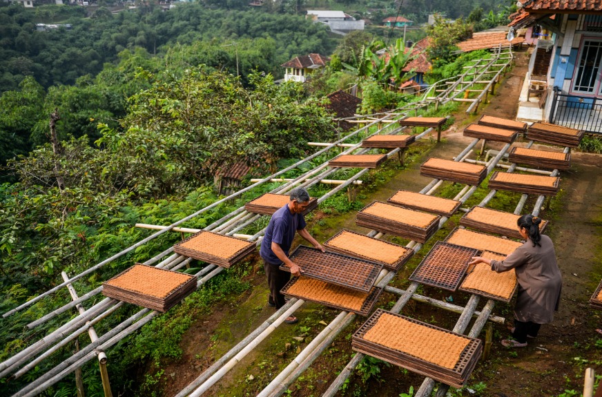 Tobacco Workers' Union Prepared to Monitor Labour Law Revision