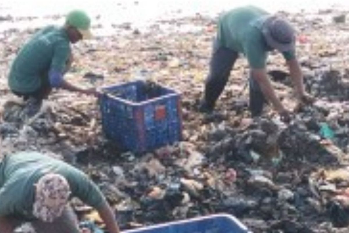 North Jakarta Administration Tackles Waste Accumulation Along Muara Angke Coastline