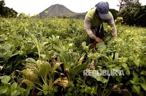 UI and Binus University Compete to Develop Tomohon