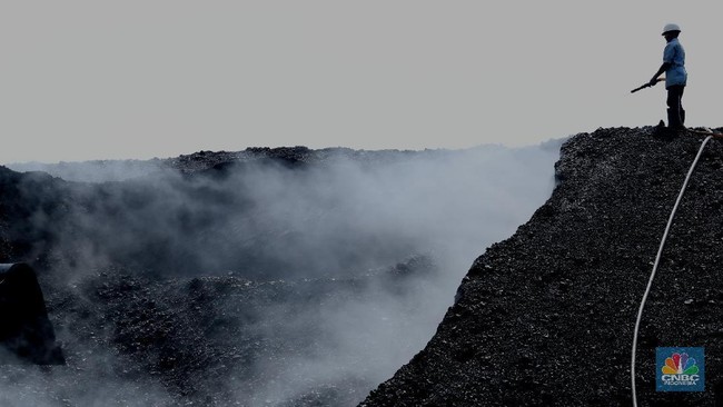 Surging! Coal Prices Secretly Approach US$ 150