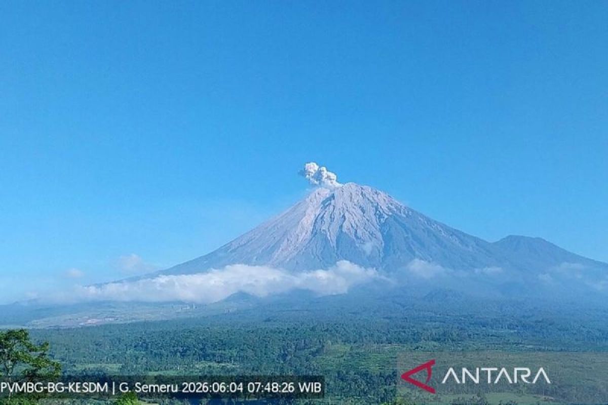Mount Semeru erupts seven times on Thursday morning, eruption height reaches 700 metres