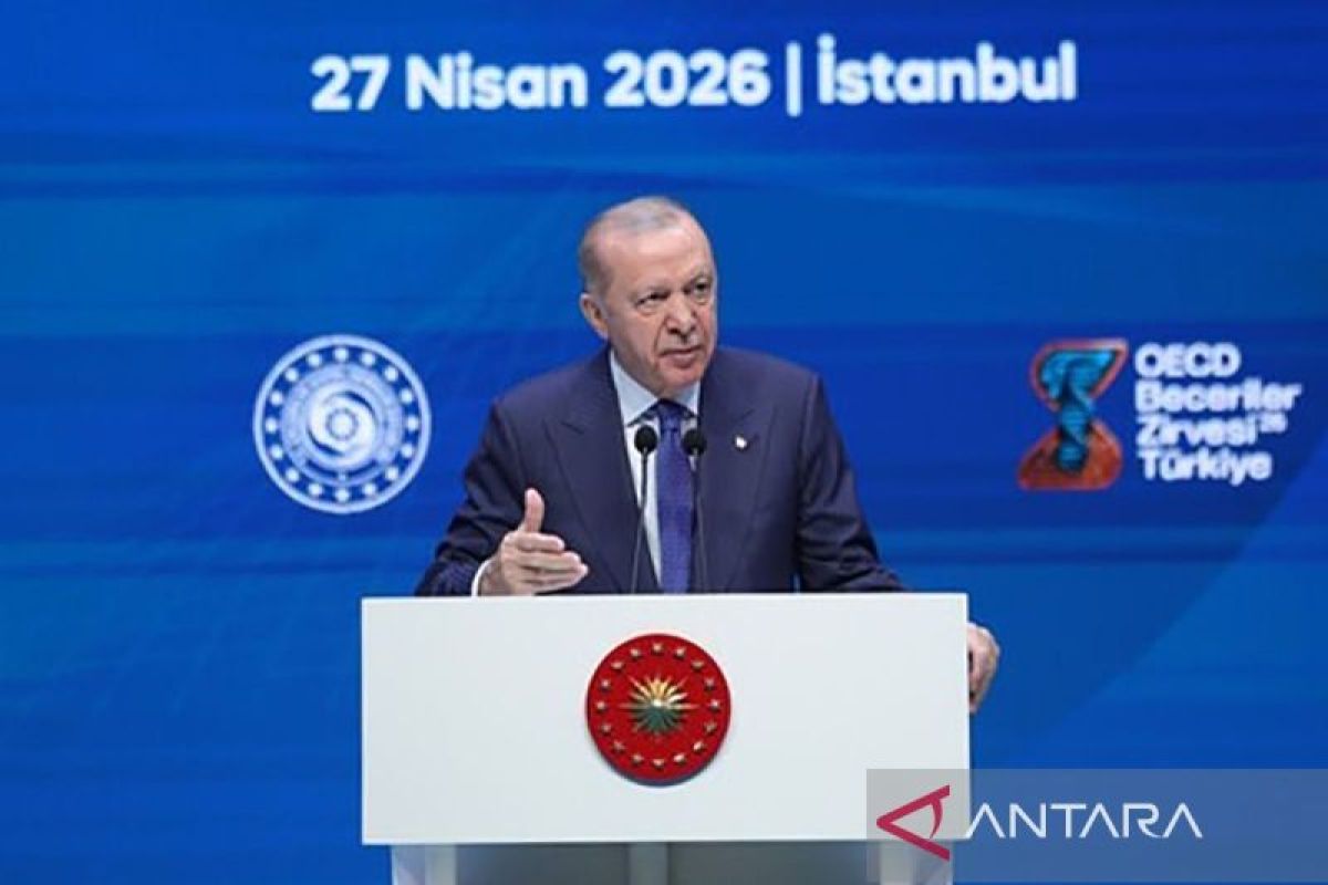 Erdogan: Closure of the Strait of Hormuz necessitates a change in energy security approach