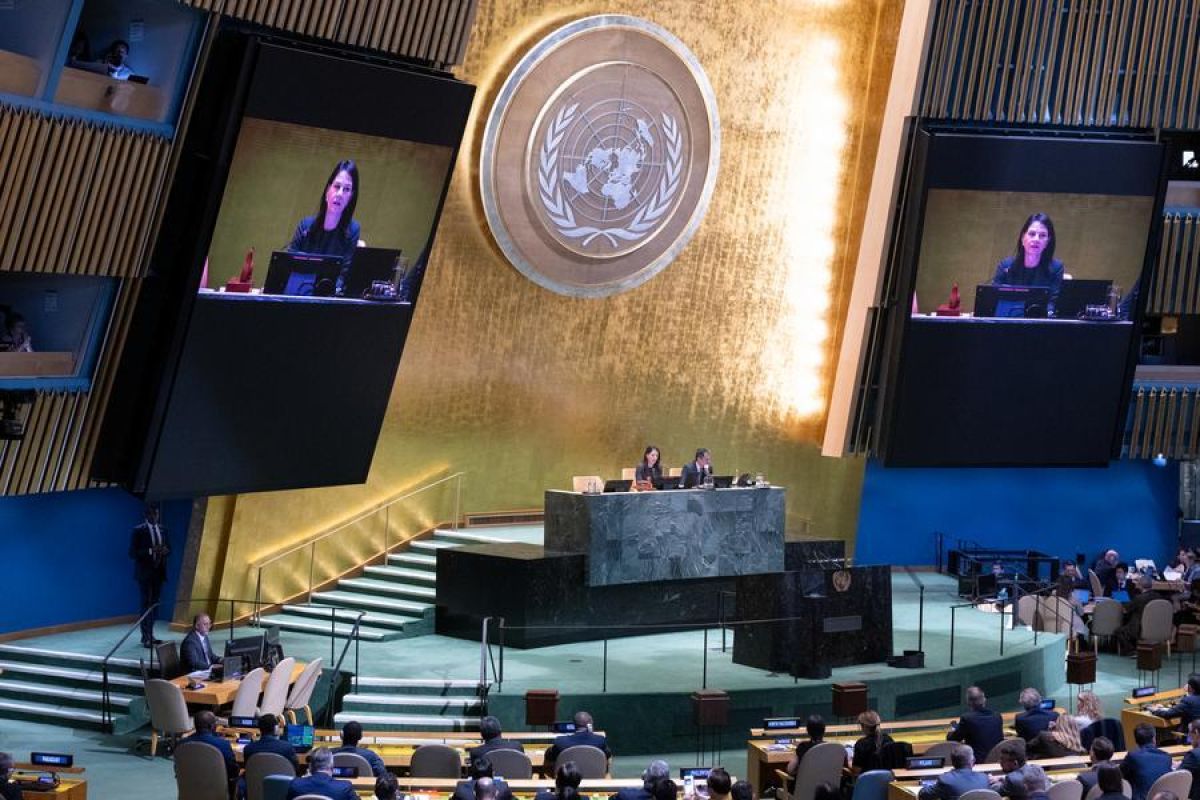 Five Countries Elected as Non-Permanent Members of the UN Security Council