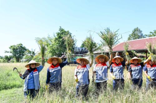 Success in Food and Energy Self-Sufficiency: Pertamina Commissioners Applaud Uma Palak Lestari CSR Programme