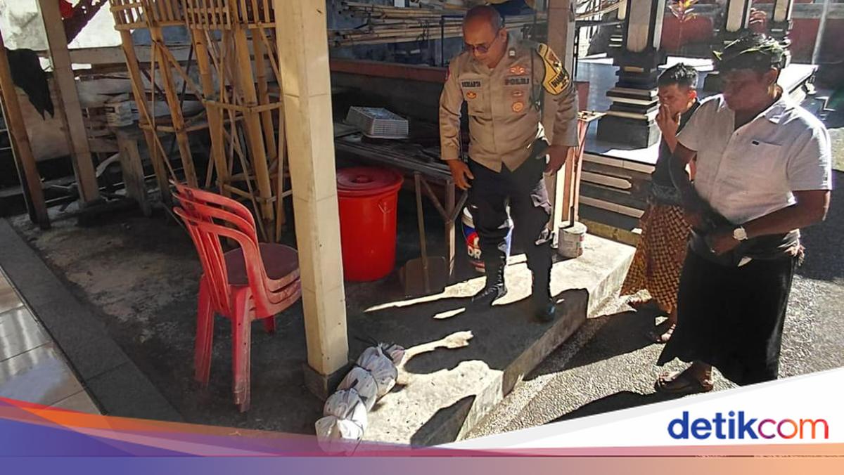 Mystery Package Mistaken for Baby's Corpse at Temple Turns Out to be Cat Carcass