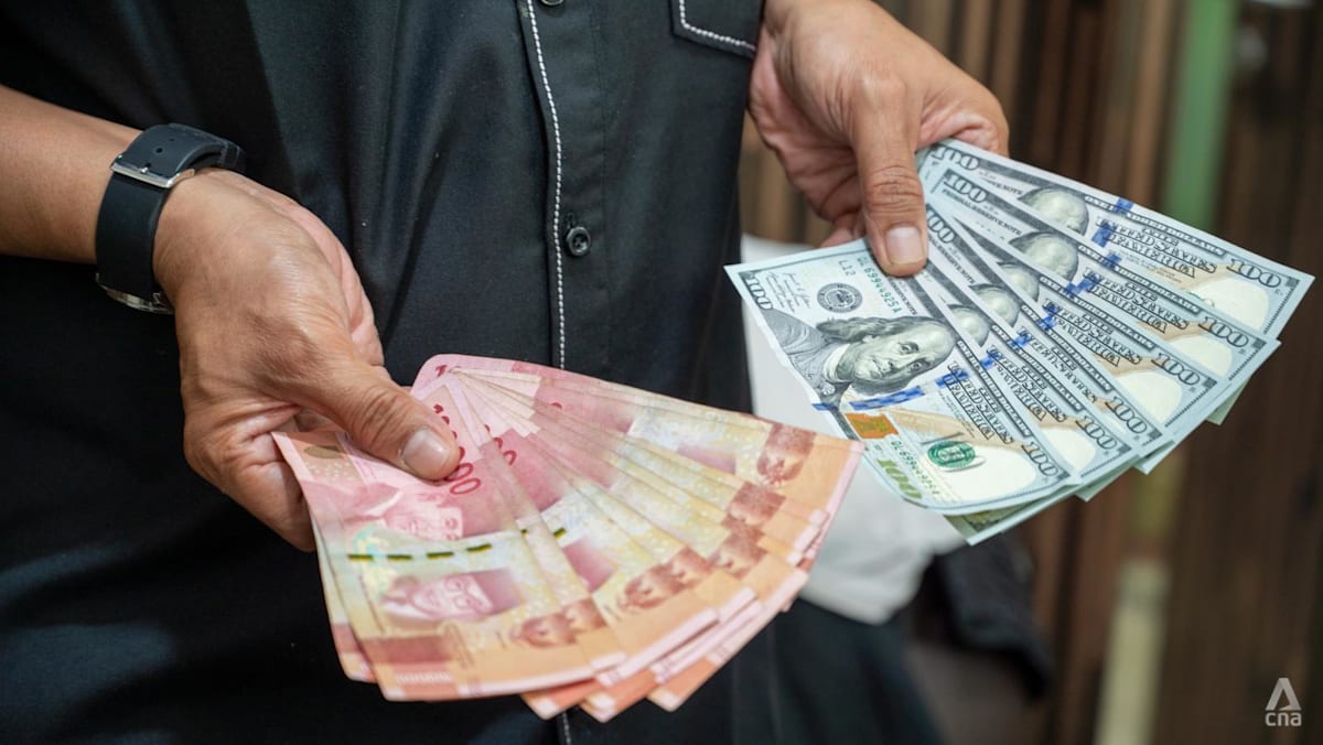 Indonesian rupiah falls to record low against US dollar