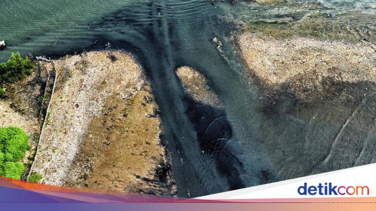 Viral 'Trash Island' Off North Jakarta Coast Targeted in Joint Clean-Up Operation