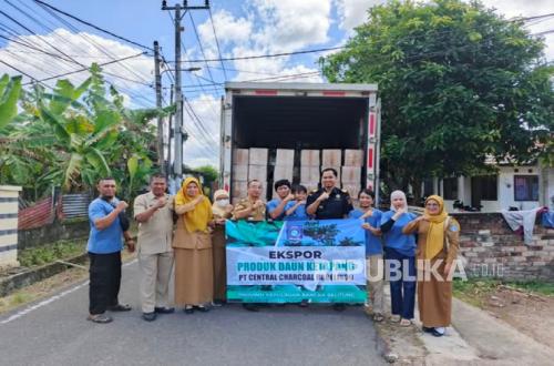 Bangka UMKM Exports Dried Ketapang Leaves to America