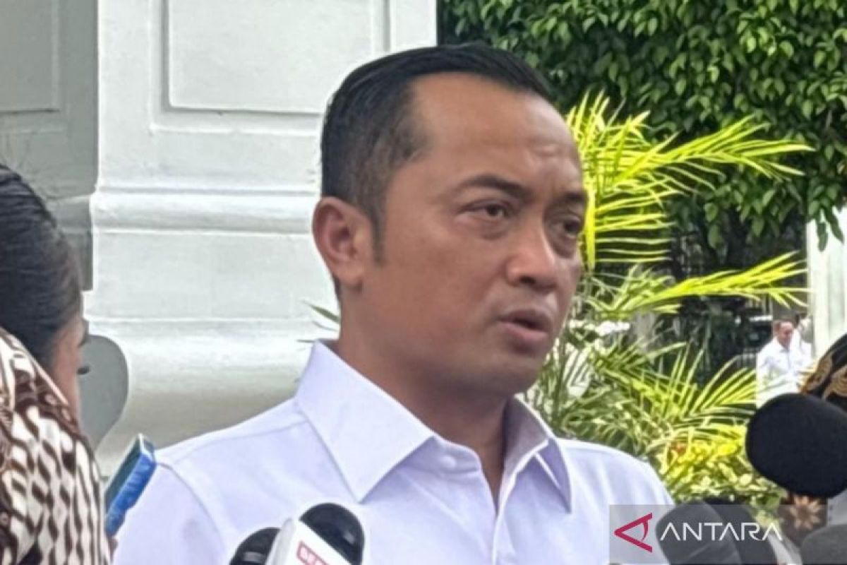 Gov't to follow legal procedures after Karim's detention: Minister