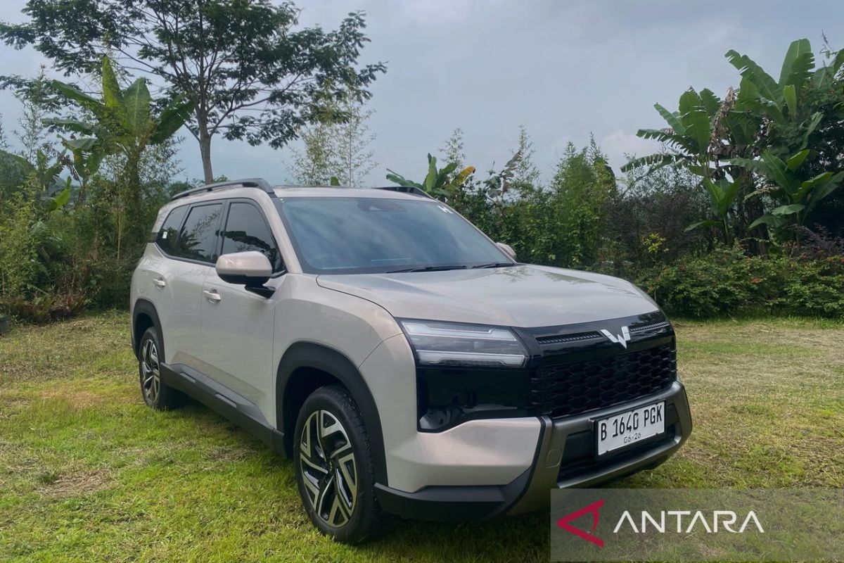 Wuling Eksion Sales Dominated by EV Segment