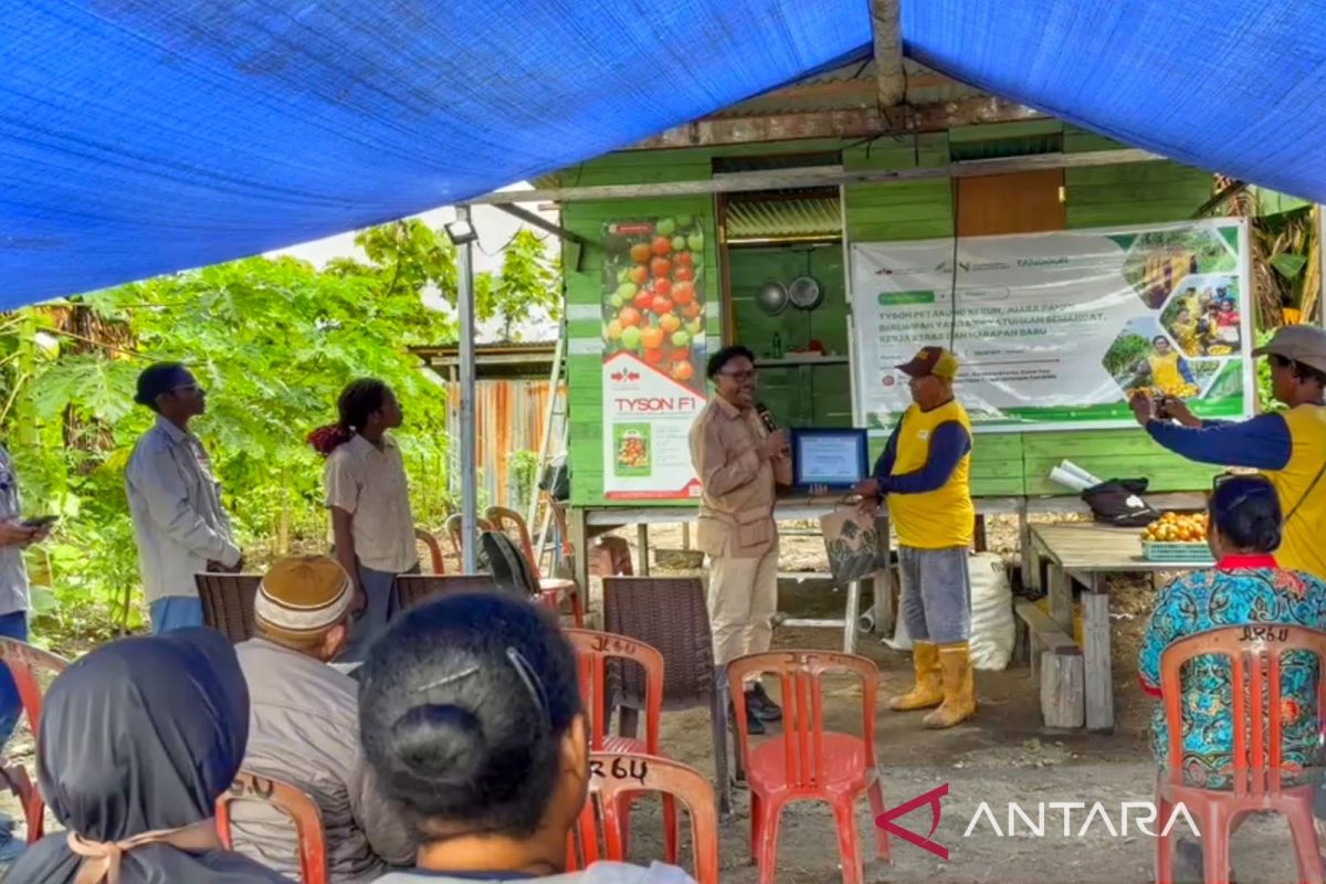 UI Research Reveals Cigarette Consumption Risks Undermining Free Nutritious Meal Programme Benefits