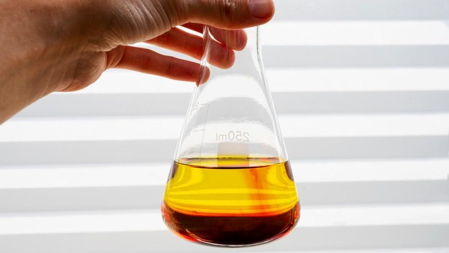 Three Companies Set to Supply Ethanol for Fuel Blending, Here Are the Names