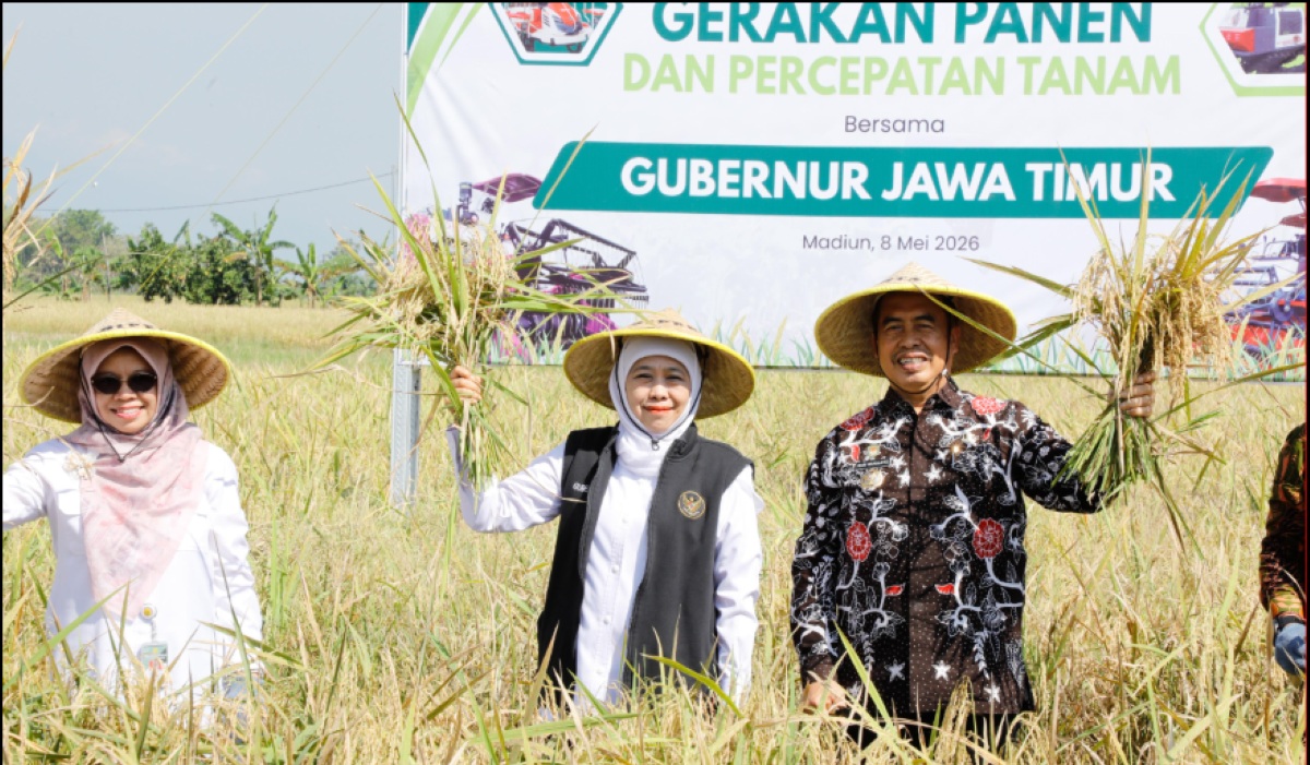 BPS: East Java Tops National Rice Production in 2026