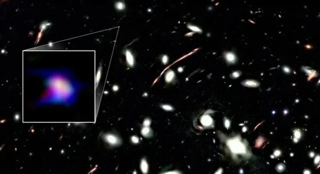 James Webb Telescope Discovers 'Living Fossil' from the Early Universe