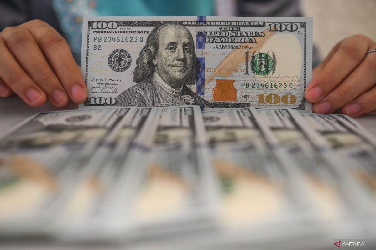 Indonesian govt debt remains manageable despite rupiah slide: minister