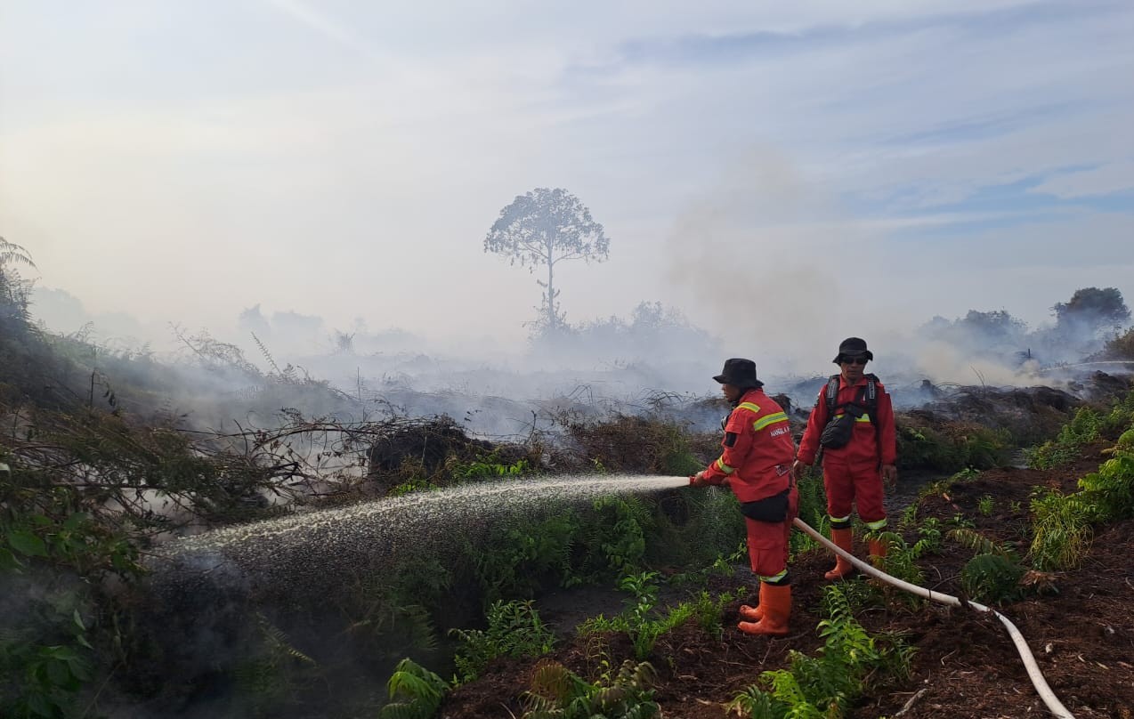 Forest and Land Fires Rage Across Multiple Regencies in Riau