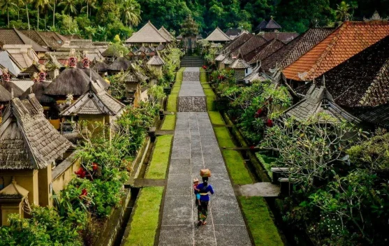 Bali Pitches Sustainable Green Growth to Global Investors