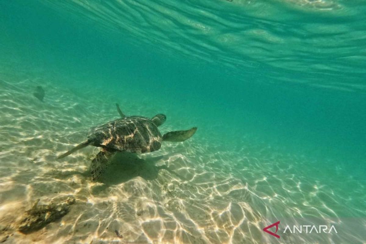 Island nations agree on maritime conservation fund in Tokyo