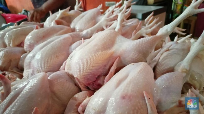 Prabowo Highlights Chicken Portion Sizes in Free Nutritious Meal Programme