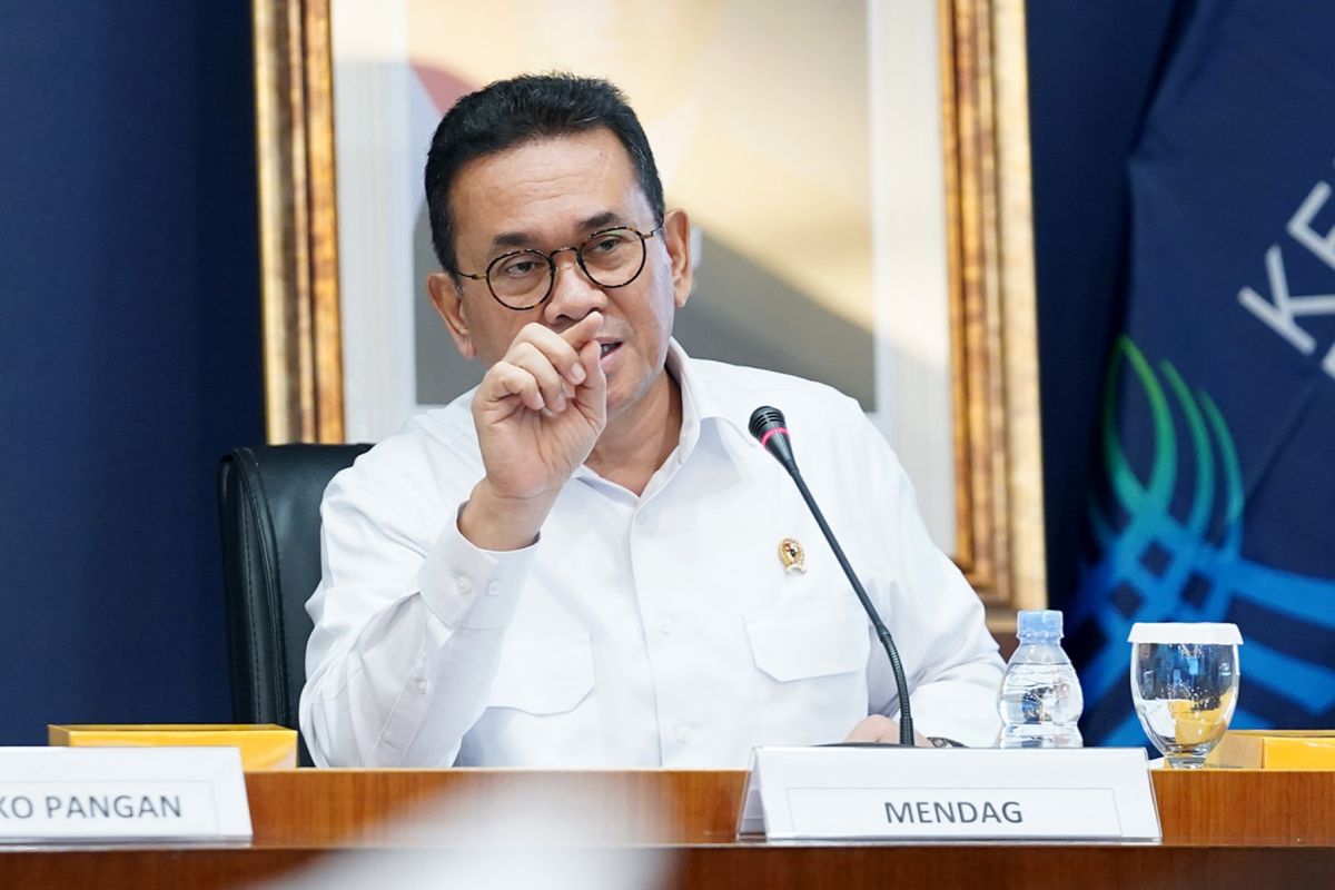 Trade Minister: New E-commerce Regulations to Strengthen MSMEs and Consumer Protection