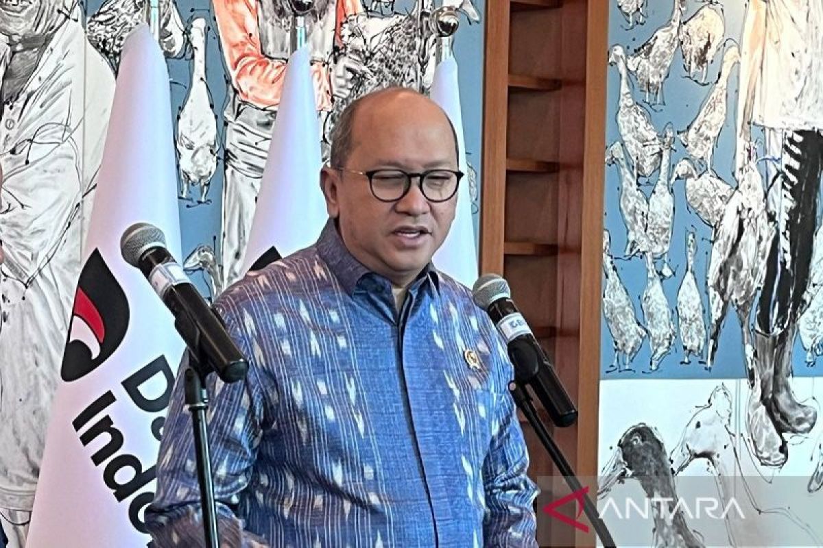 Danantara commits to professional and accountable management of PT DSI