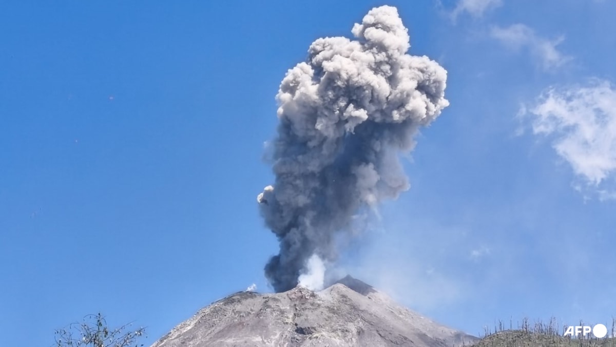 Indonesia's Mount Lewotobi Laki-Laki erupts, forcing airport to close