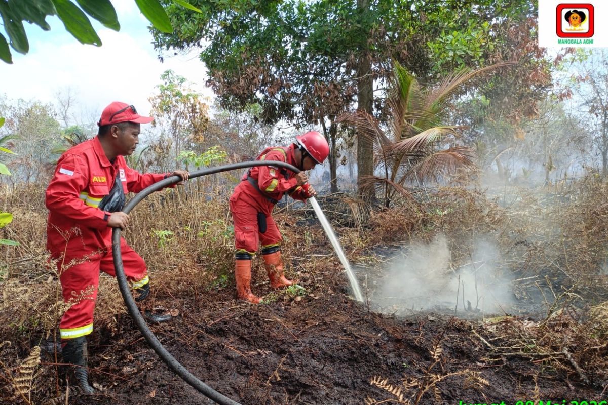 House Speaker urged govt to curb forest and land fires