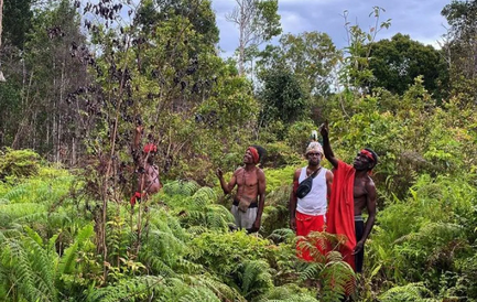 World Environment Day 2026: WALHI Papua Highlights Indigenous Forest Crisis