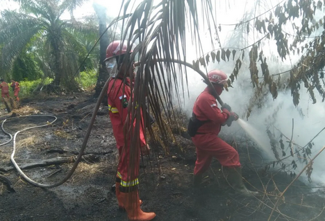 Forestry Ministry Deploys Additional Manggala Agni Personnel to Tackle Sumatra Forest Fires