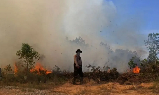 2026 Forest Fires Surge Nearly 20-Fold, IPB Expert Warns of Runaway Climate Impact