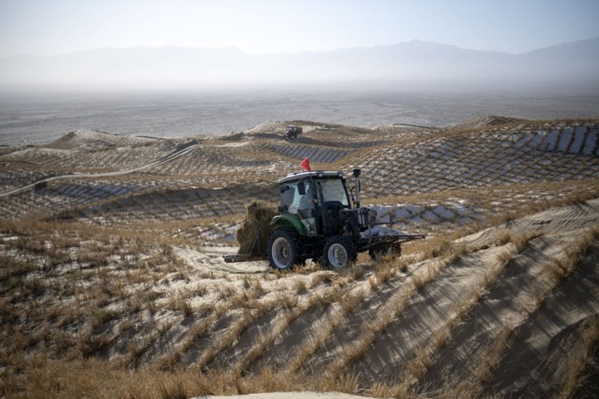 AI enhances speed and accuracy of sandstorm forecasting in China