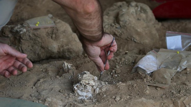 Discovery in China Alters the Long History of Human Civilisation