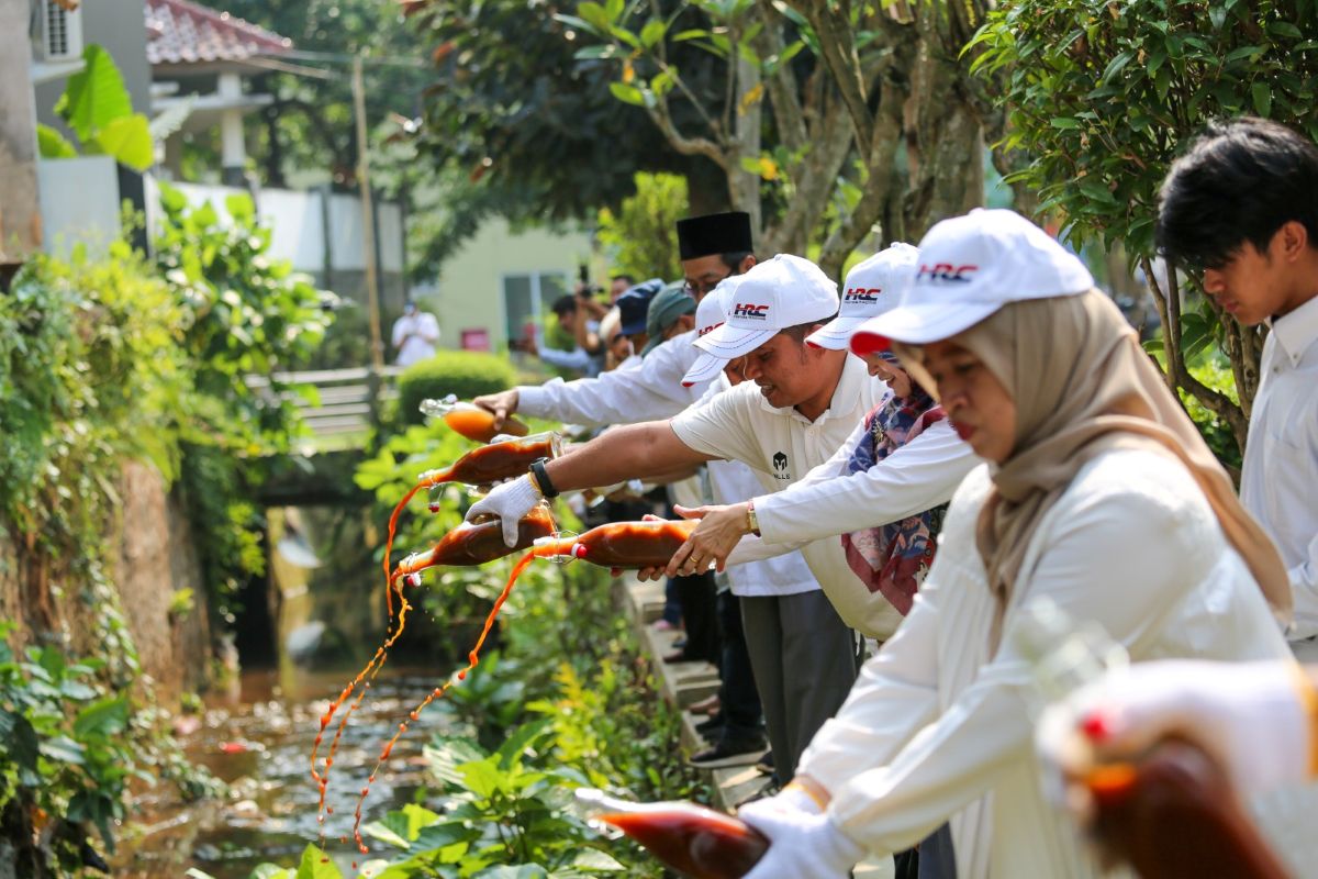Higher Education Plays a Crucial Role in Environmental Conservation