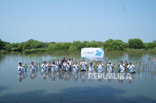 PNM Plants 27,000 Trees to Support a Healthier Environment