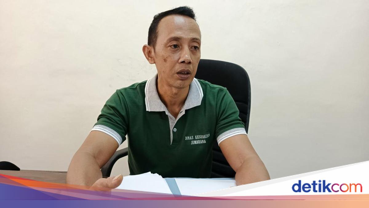 Chronology of Jembrana Resident's Death from Suspected Rabies After Being Scratched by a Stray Cat