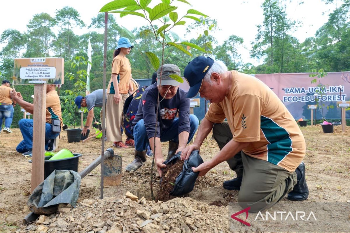 Nusantara Authority, UGM, and Pamapersada Plant Trees in IKN's Wanagama Zone
