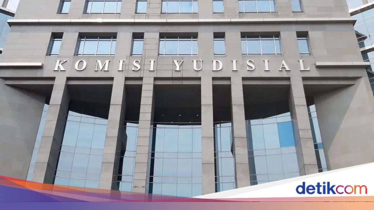 The Judicial Commission as a Complement to Judicial Power