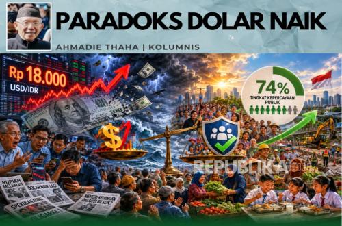 The Paradox of the Rising Dollar