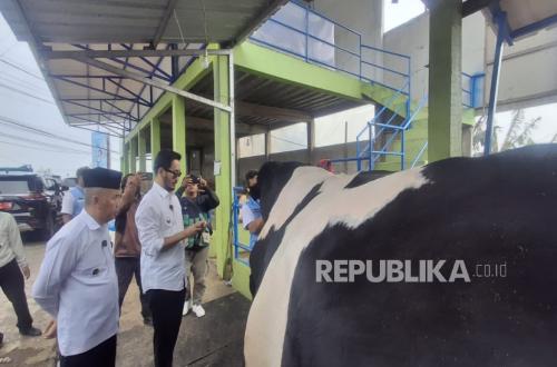 More Than 21,000 Sacrificial Animals Slaughtered in West Bandung Regency, Inspection Results Released